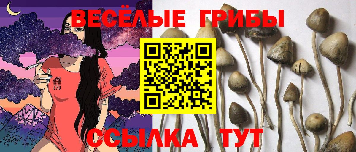 Галлюциногенные грибы GOLDEN TEACHER Ефремов